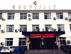 金安区淠东乡卫生院采购血铅检测仪