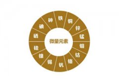 人体各种微量元素的正常指标是多少？