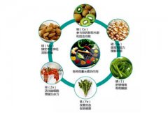 微量元素能检查出什么?
