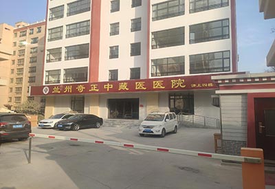 医用微量元素测定仪生产厂家 全自动微量元素检测仪