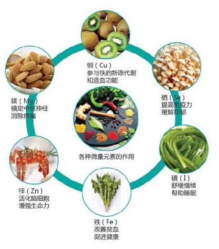 微量元素与健康，食物是补充微量元素的重要途径