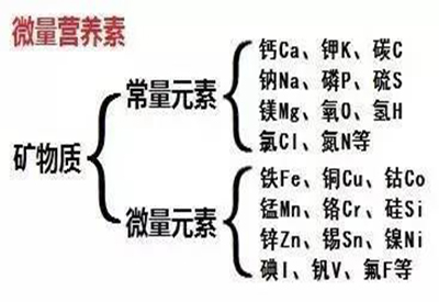 全自动微量元素无创检测仪微量元素和常量元素的关系